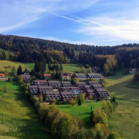 Daire Terrassenpark Sasbachwalden