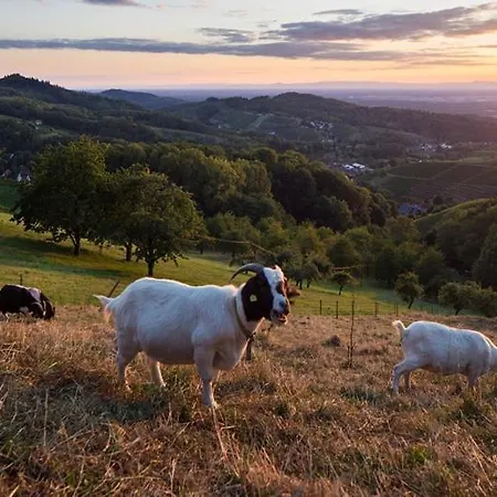 Daire Terrassenpark *