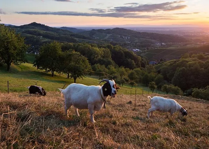شقة Terrassenpark *